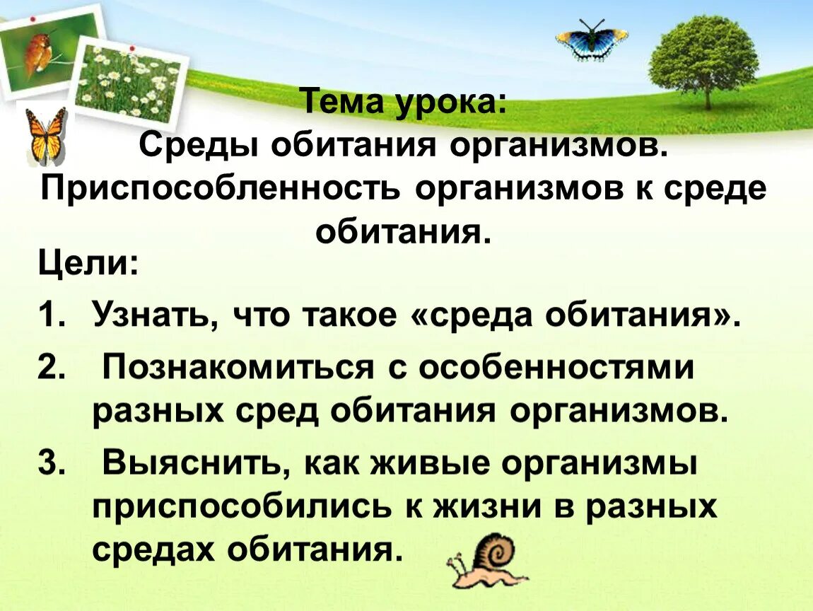 Среда обитания организмов 5 класс биология доклад. Среды обитания организмов. Среды обитания организмов биология. Среды обитания 5 класс. Среда обитания презентация.