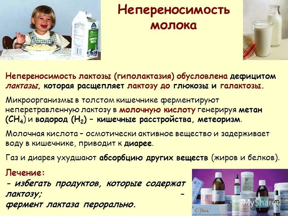 Ферментация лактозы. Непереносимость лактозы. Причины непереносимости молока. Лекарства для людей с непереносимостью лактозы. Проявления лактозной непереносимости.