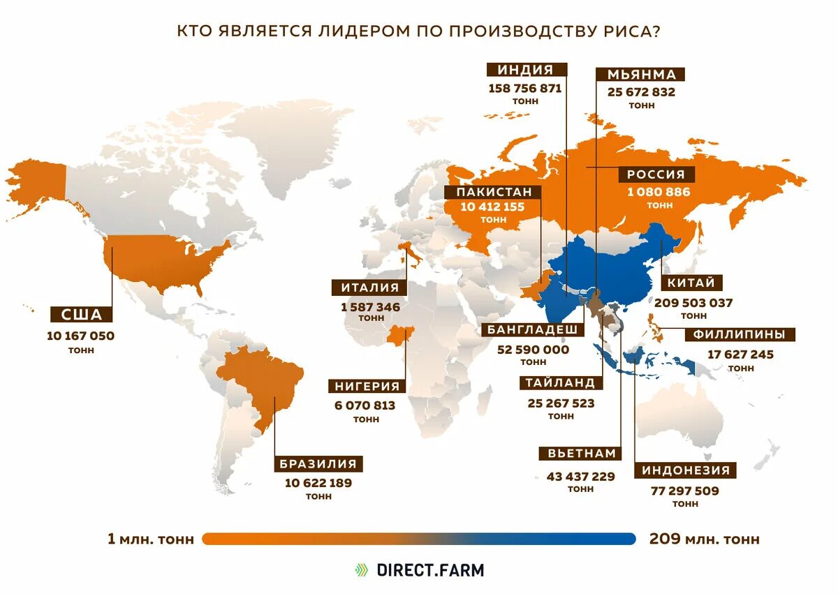 Где сейчас производится. Страны Лидеры по производству риса. Страны Лидеры по производству риса в мире. Страны Лидеры по производству риса 2020. Страны Лидеры по выращиванию риса.