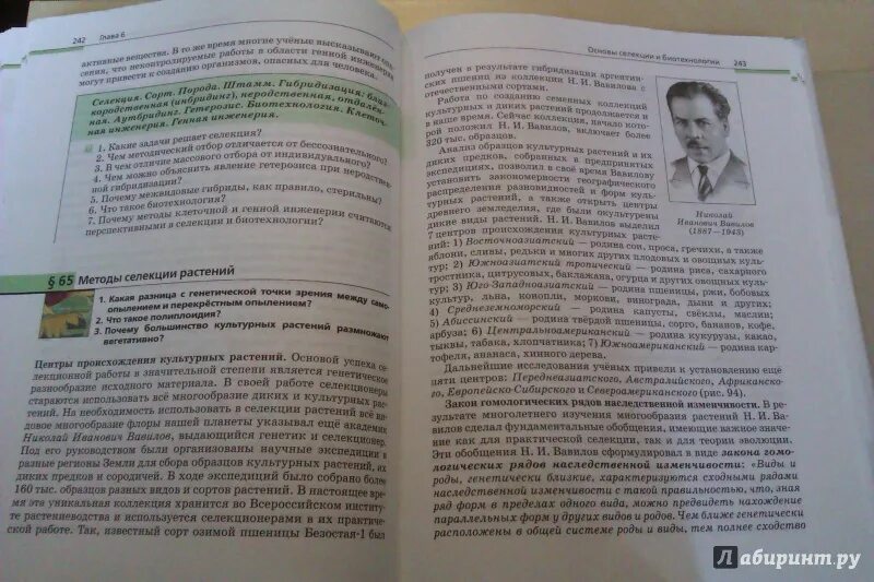 Биология 11 класс каменский криксунов. Пасечник Каменский рубцов 10 класс базовый уровень учебник. Общая биология Каменский Пасечник рубцов. Биология 11 класс Пасечник Каменский рубцов читать содержание. Пасечник,Каменский биология 11 класс базовый уровень.