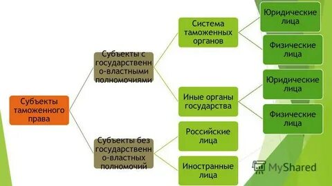 Таможенные субъекты