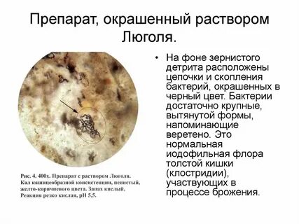 В кале непереваренная пища у взрослого причины