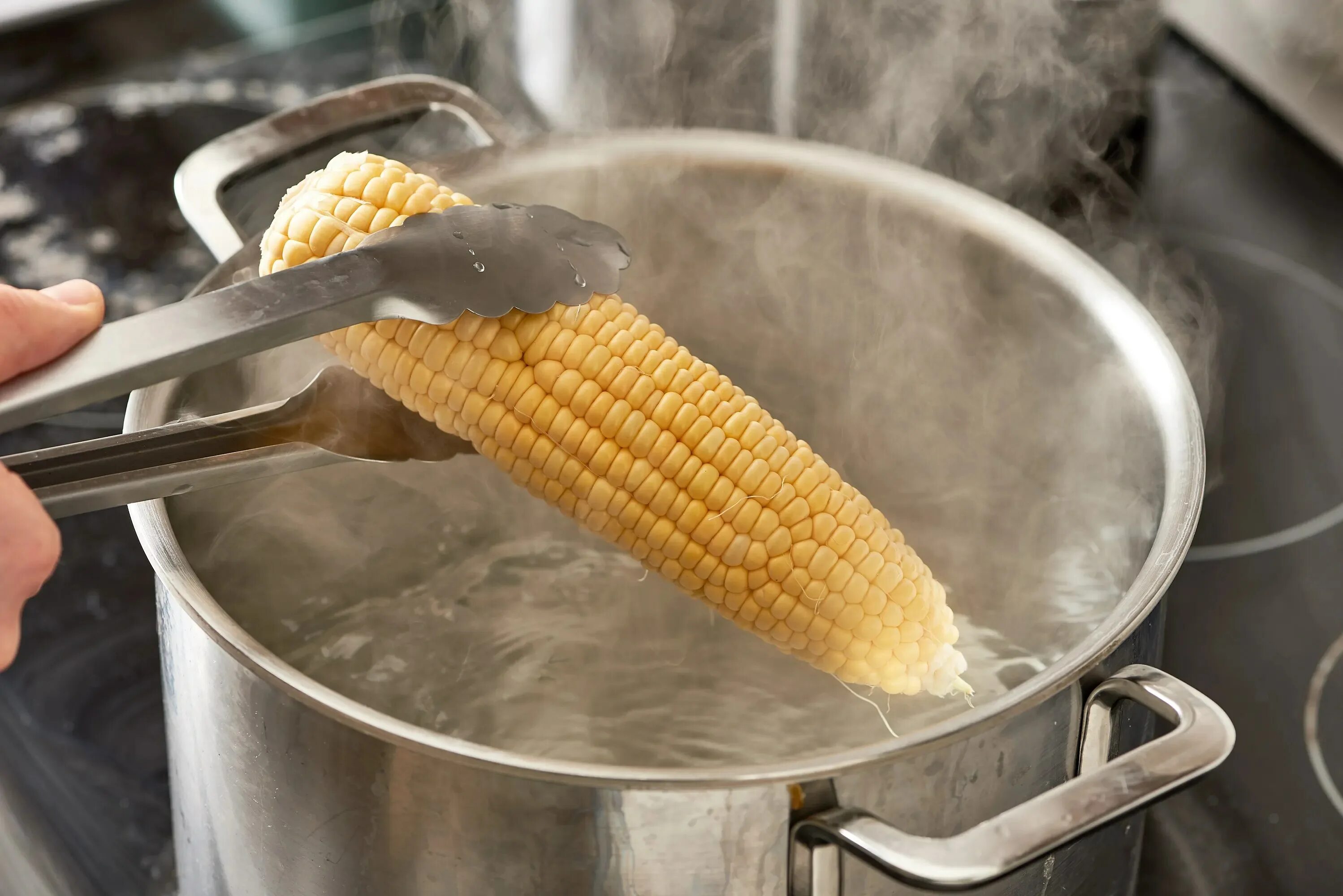 Варить початках в кастрюле. Boiled Corn. Кукуруза отварная. Вареная кукуруза реклама. Вареная кукуруза в стакане.