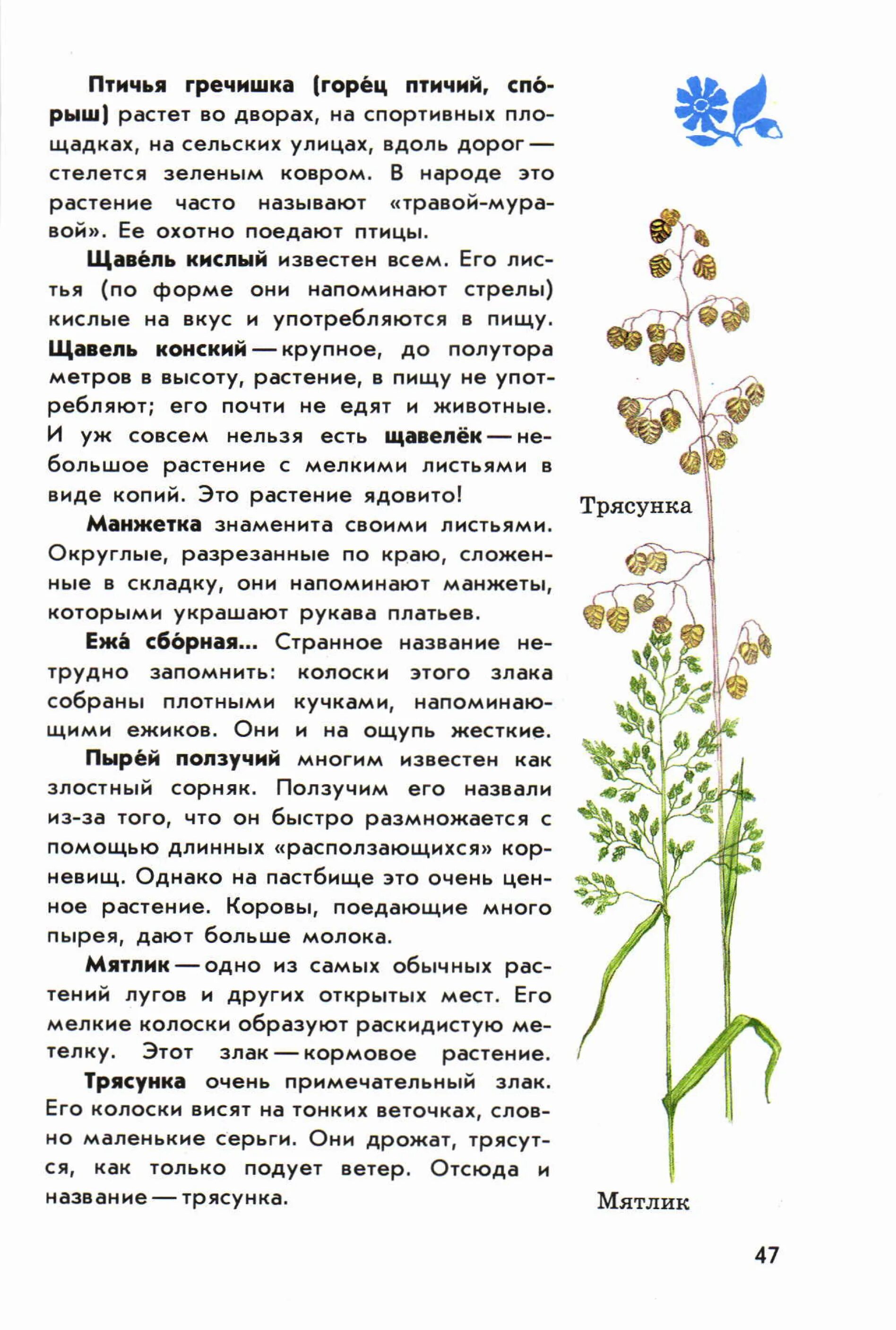 Атлас определитель сообщение о ядовитых растениях. Атлас определитель ядовитые растения. Атлас-определитель от земли до неба 3 класс ядовитые растения. Сообщение о ядовитых растениях и грибах. Атлас определитель сообщение о ядовитых растениях.