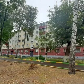 Проспект 60 лет октября 2 саранск