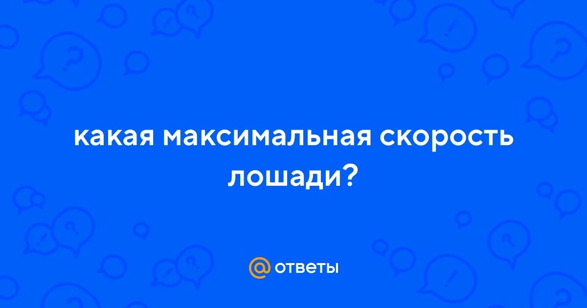 Какая средняя скорость лошади. Какая средняя скорость лошади