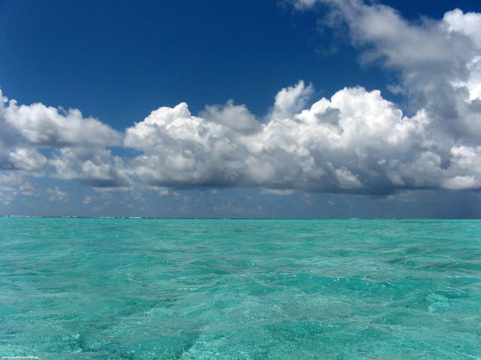 Самое голубое море россии. Бирюзовое море. Голубое море. Море фото. Лазурное море.