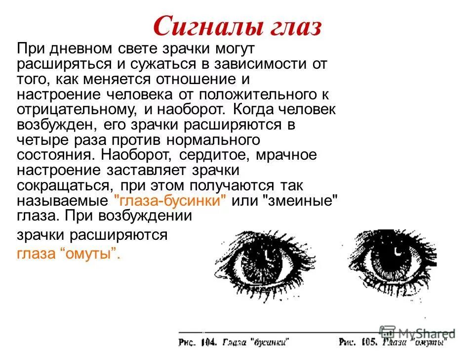 Почему зрачок сужается и расширяется