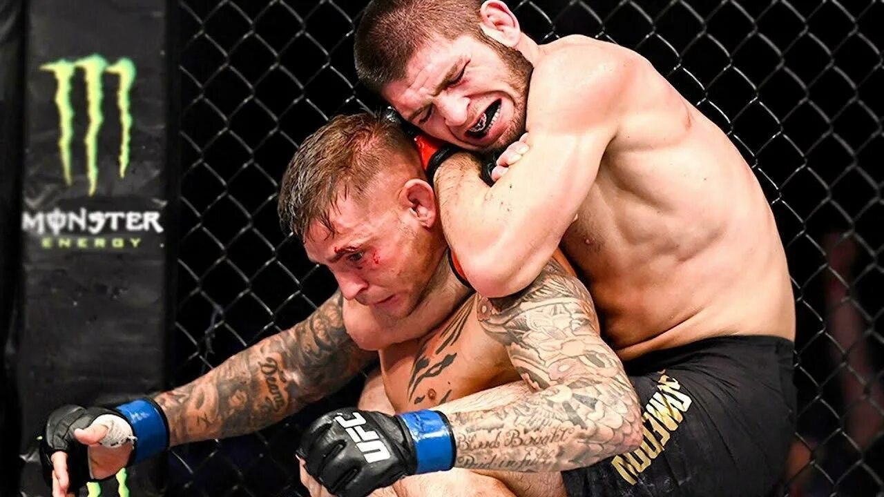 Конор макгрегор бой с хабибом. Хорхе масвидал хабиб нурмагомедов. Хабиб нурмагомедов порье бой. Чем отличается ufc. Бой хабиба и дастина порье.