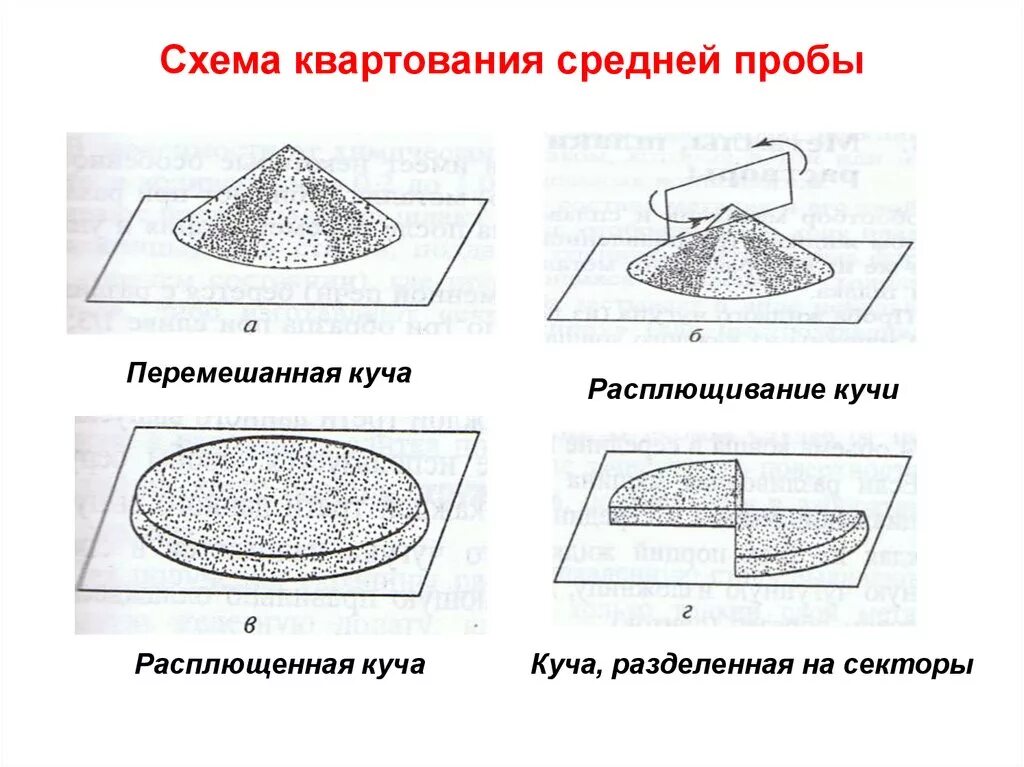 Схема квартования средней пробы. Отбор проб методом квартования. Метод квартования при отборе проб зерна. Отбор почвы методом квартования. Анализ средней пробы