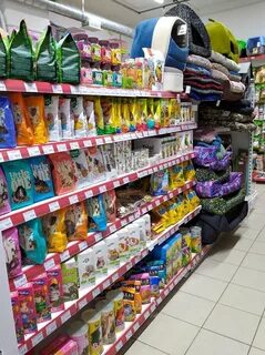 Космозоо