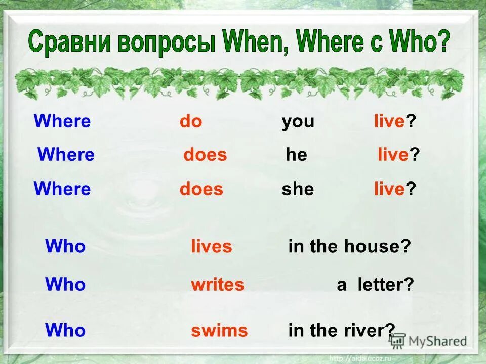 Where do или does. Где do does did. Вопросы с when. Вопросы where do. When did she play