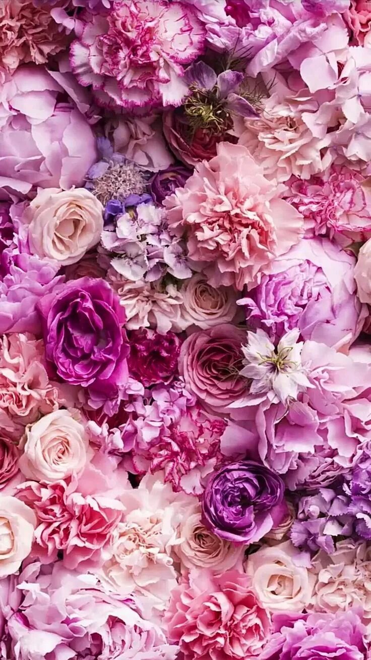 Цветы на телефон айфон. Розовые цветы. Фиолетовые пионы. Розово фиолетовые цветы. Цветочный фон.