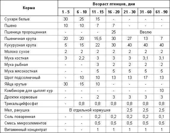 Можно ли цыплятам творог. Рацион кормления цыплят кур несушек. Схема кормления кур несушек. Рацион питания цыплят с 1 дня таблица. Норма корма для 2 месячных цыплят.