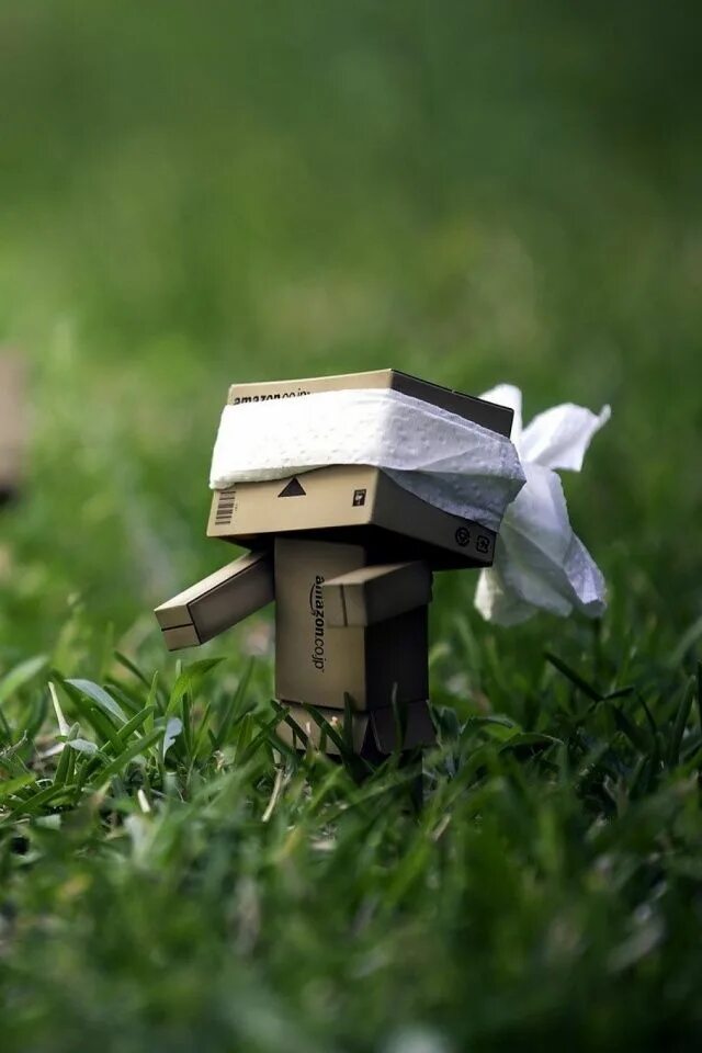 Амазон данбо. Человек с коробкой. Человечек данбо. Ожившая коробка. Картонный человечек danbo.