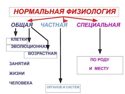 Физиология клетки