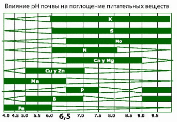 Кислотность почвы для рассады томатов. Рн для томатов. рн почвы для томатов. кислотность почвы для томатов рассады. ph почвы для томатов.