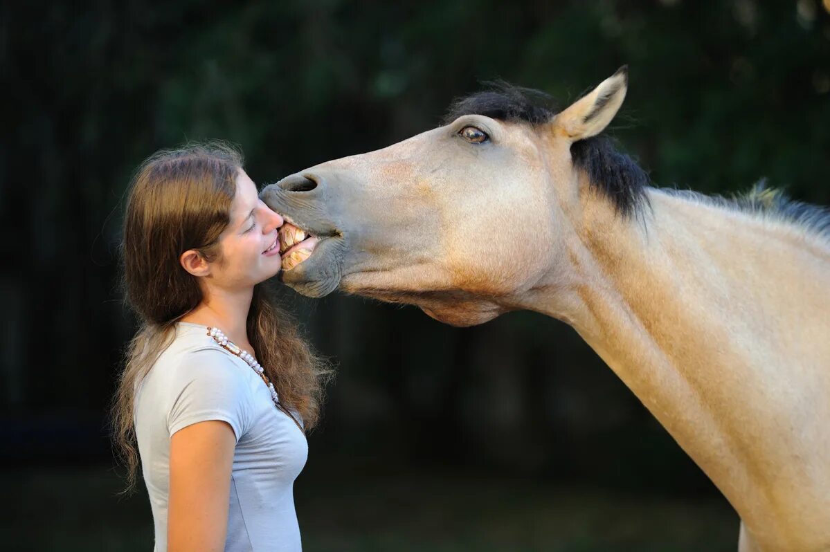 Девушка целует лошадь. Поцелуй с лошадью. Человек на лошади. Лошадь и человек любовь.