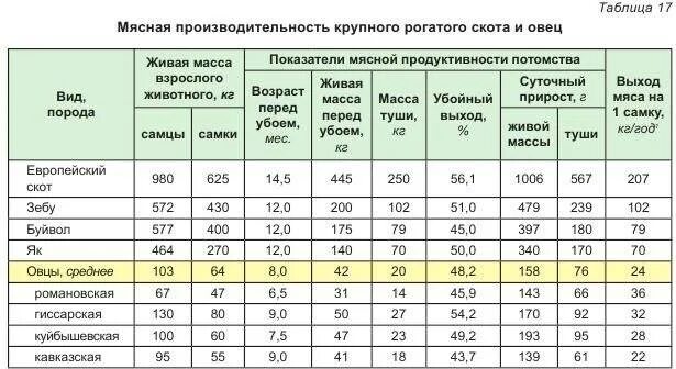 Процент мяса от живого веса. Таблица живого веса барана. Сколько выход мяса у барана. Таблица веса овец. Выход мяса с барана Романовской породы.