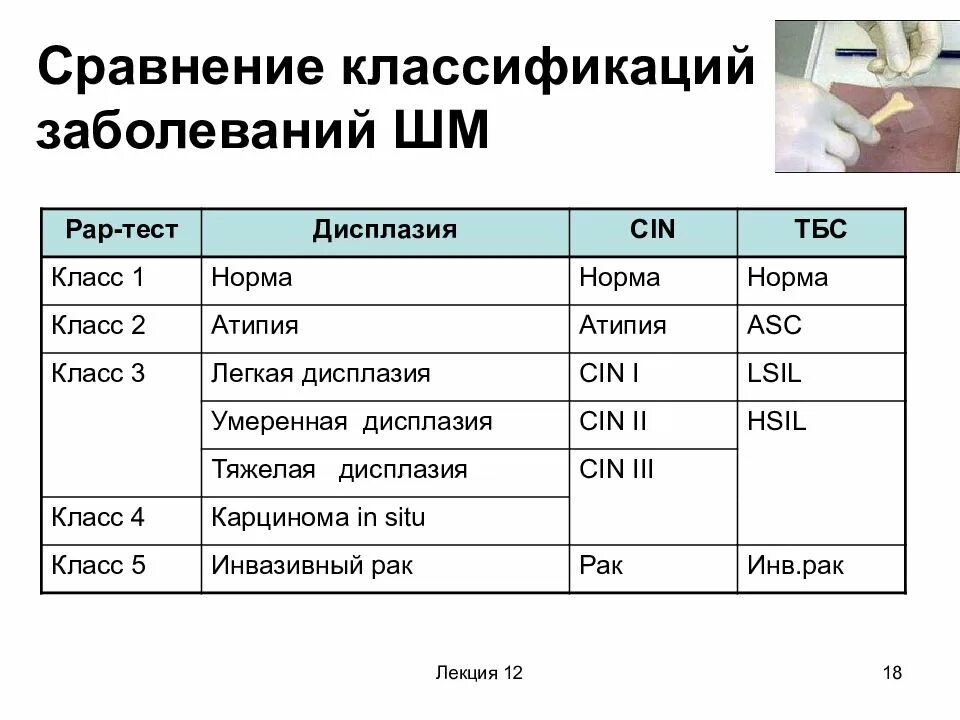 Классификация папаниколау 2. Дисплазия шейки матки классификация. классификация дисплазии шейки матки cin. цитологическая классификация дисплазии шейки матки.