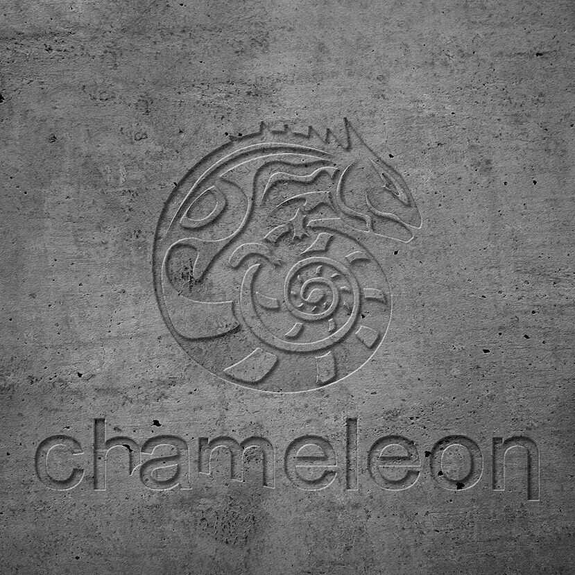 Студия хамелеон. Chameleon Studio. Дизайн студия хамелеон.