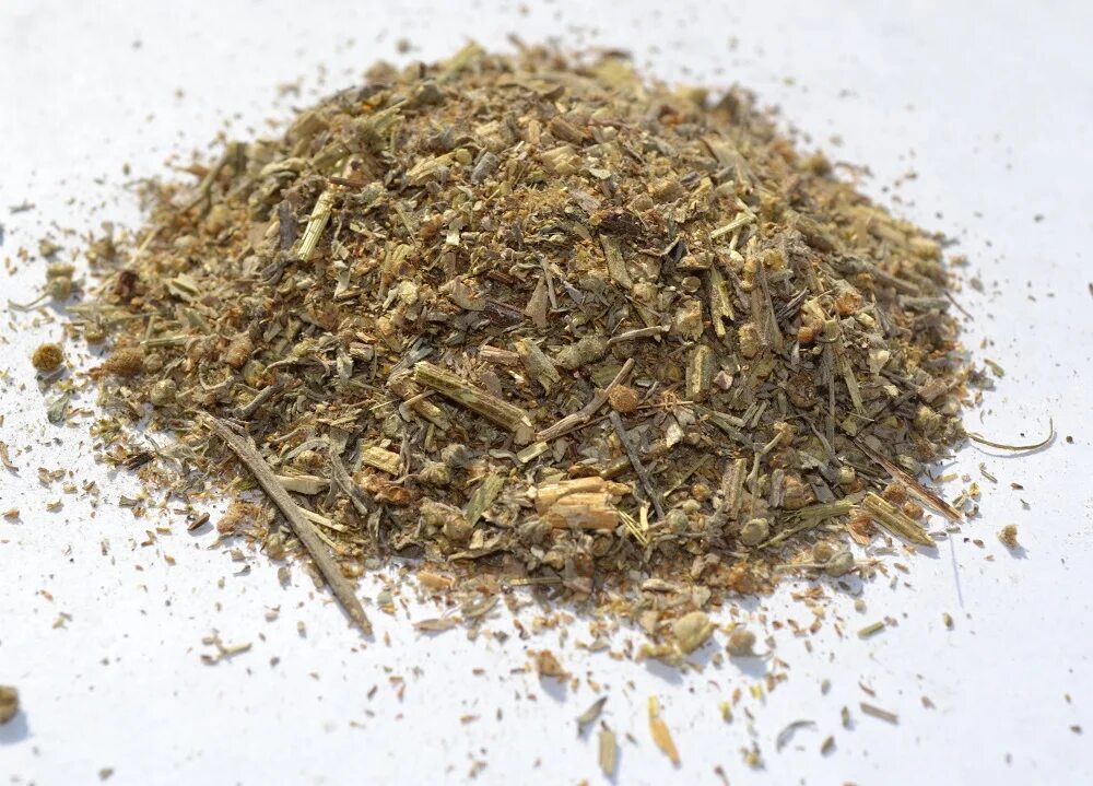 полынь санрайз. полынь горькая (artemisia absinthium). полынь горькая (artemísia absínthium). полынь гр. полынь малоцветковая.