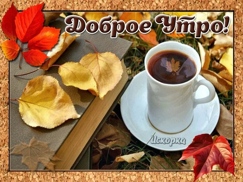 с добрым осенним утром и хорошим. осенние открытки. прекрасного осеннего вторника. осеннее воскресенье. пожелание хорошего вторника мужчине.