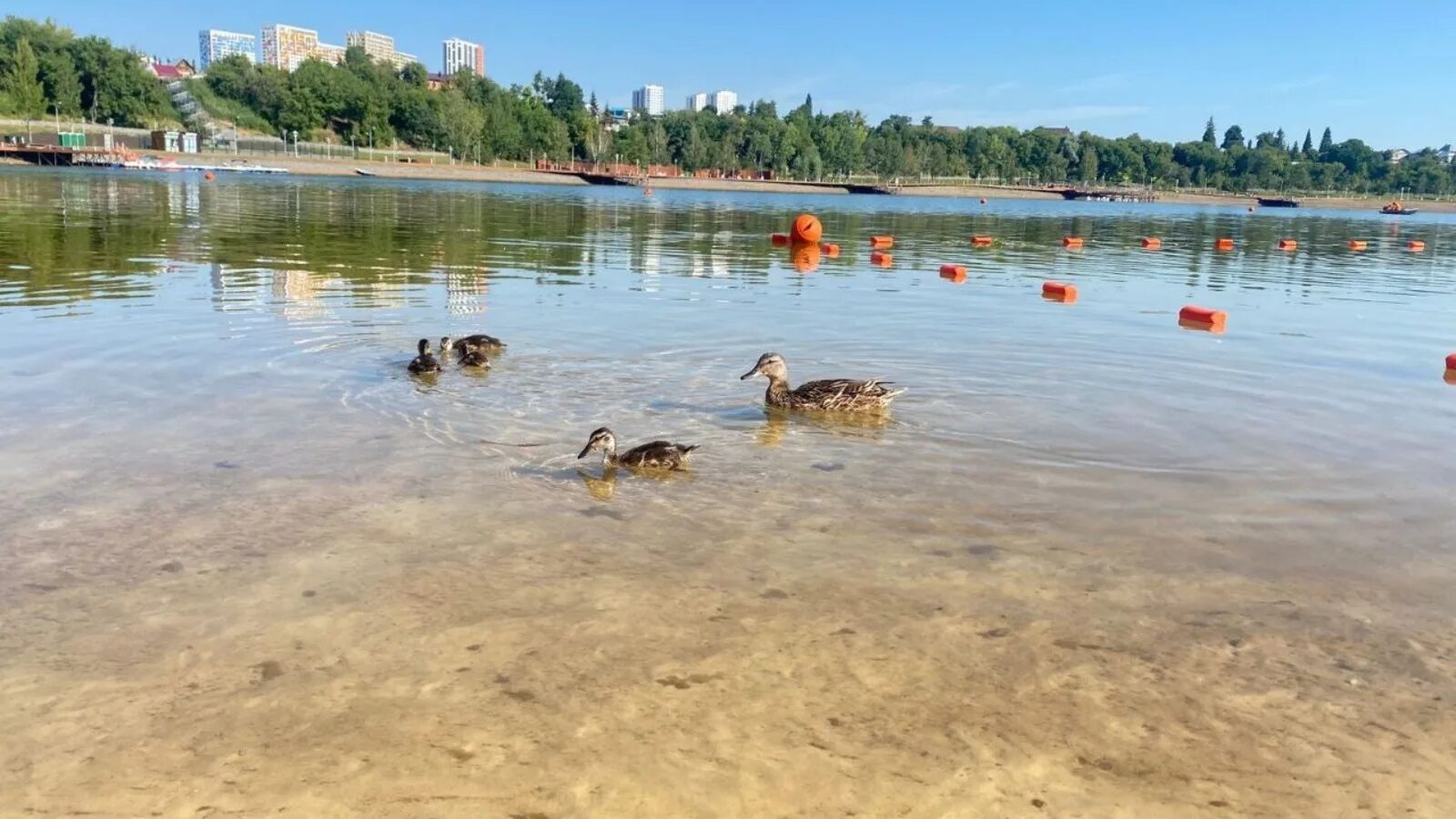 В башкирии вода. Павловский водоём башкирия. а в башкирии вода. пруд камышбаш мелеузовский район.
