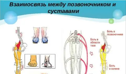 Коленного сустава казань