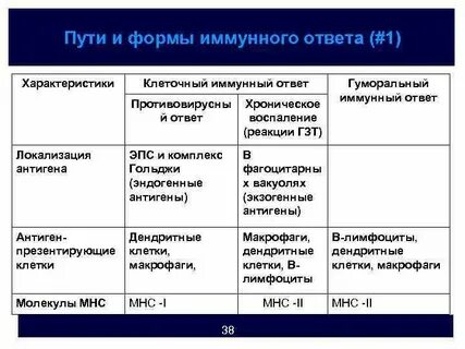 Свойства иммунного ответа