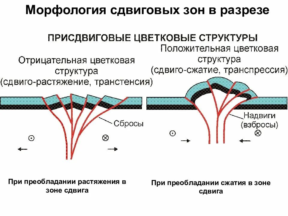 Структура состояние движение. Сдвиг Геология. Дуплекс Геология. Надвиг Геология сдвиг сдвиг. Растяжение в геологии.