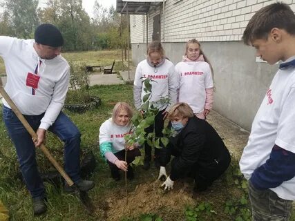 Погода п владимирский