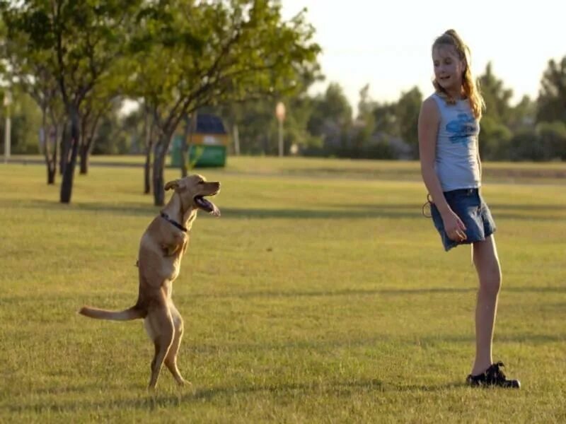 одень на двух ногах. разные ботинки на ногах. туфли на каблуке. детская обувь. детская обувь реклама.