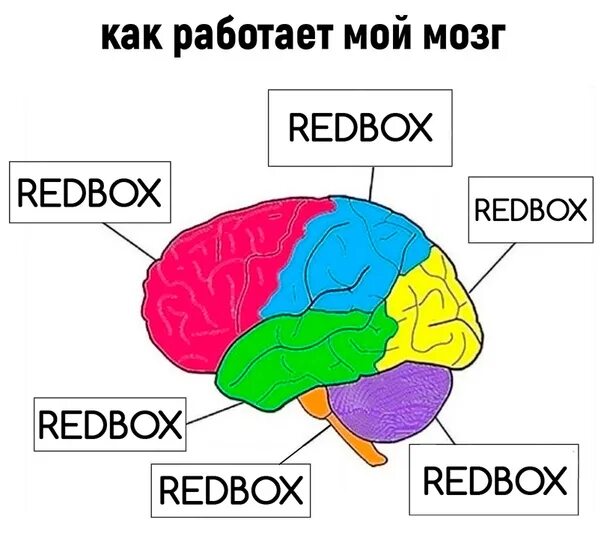 Me and my brain. Overthinking Мем. Anxiety Brain. Сонгс Мем. My Brain.