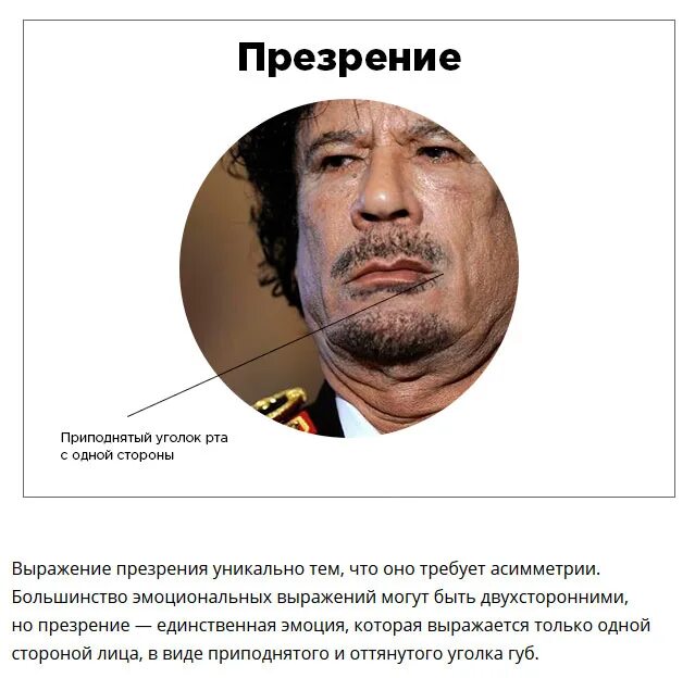 Что такое презрение к человеку. Презрение. презрение эмоция. презрение выражение лица. эмоции человека презрение.