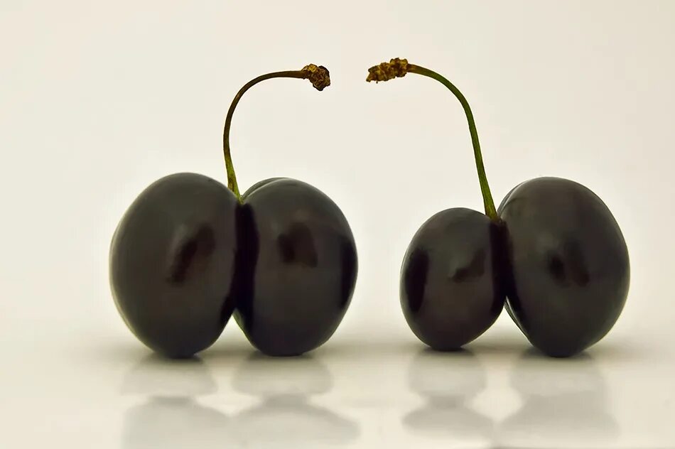 Вишня коктейльная красная с черенком "toschi. Армянская черешня. Вишня черешня в киргизии. Черешня вишня птичья. Вишня ягода.