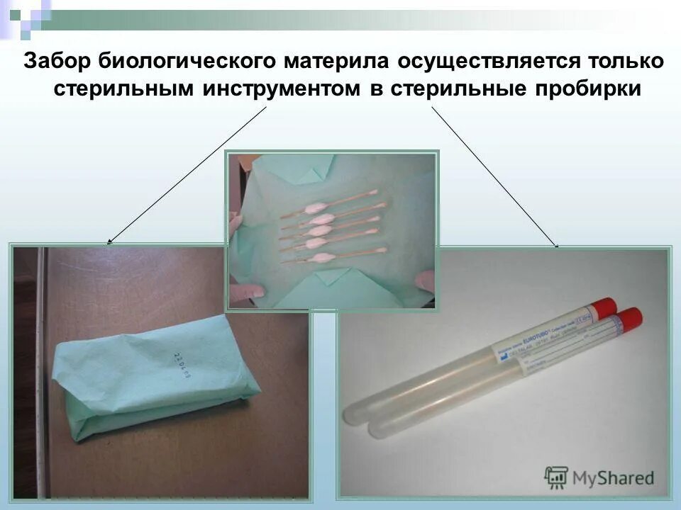Алгоритм забора биологического материала. Забор биологического материала для бак исследований. забор материала для бактериоскопического исследования. пробирки для забора материала на кишечную группу. забор для бактериологического исследования.