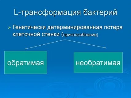Генетически детерминировано