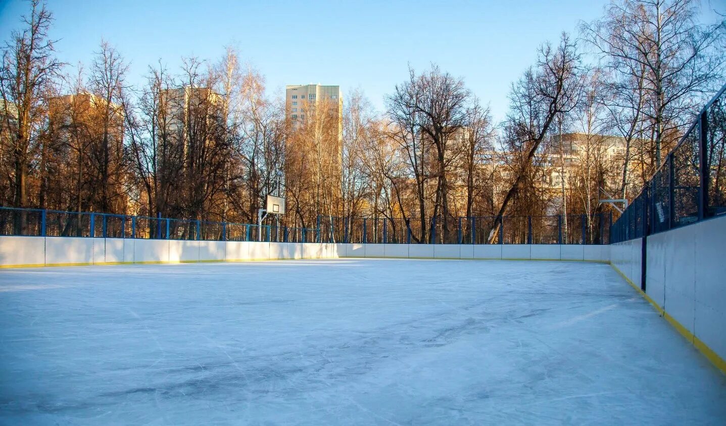 парк березовая роща каток. каток в березовой роще. каток в березовой роще дмитров. парк березовая роща каток. парк березовая роща каток.