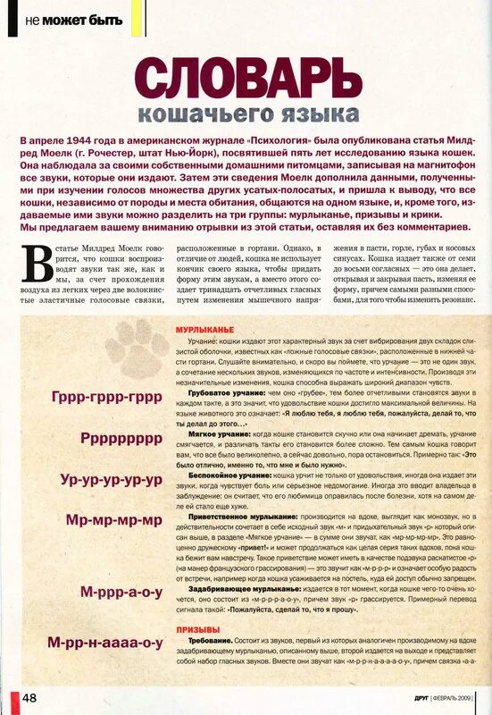 Язык хвоста у кошек. Большой словарь китайского языка ошанина. Словарь кошачьего языка книга. Русский язык картинки. Кошачий язык учить.