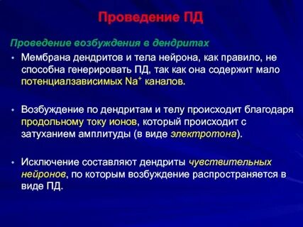 К телу нейрона возбуждение передается по
