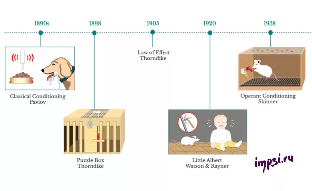 Торндайк научение. Торндайк теория. Э Торндайк бихевиоризм. Бихевиоризм Уотсон и Торндайк. Теория научения Торндайка.