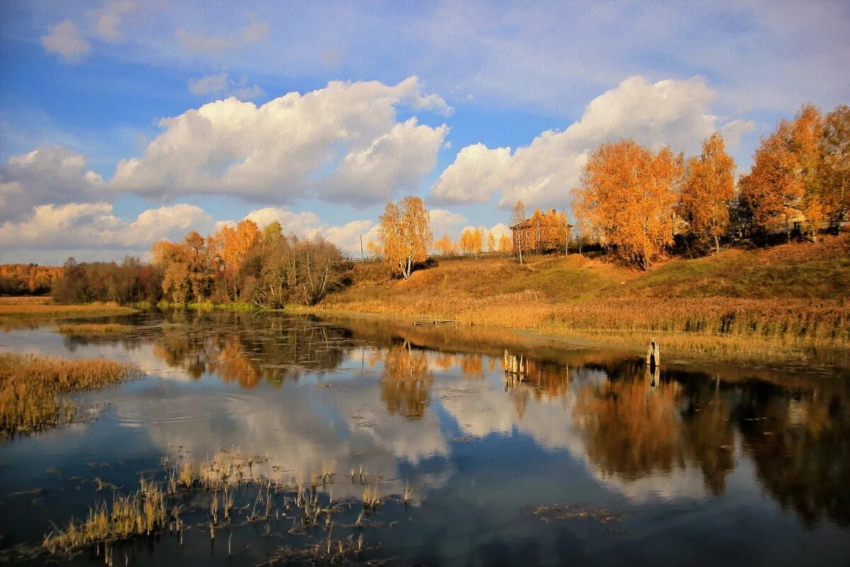 Октябрь картинки. Октябрь природа. Октябрь пейзаж. Природа в конце октября. Осень октябрь природа.