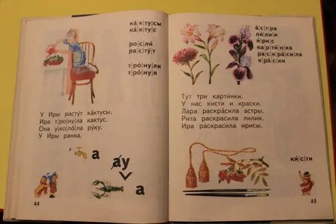 У иры растут кактусы схема предложения