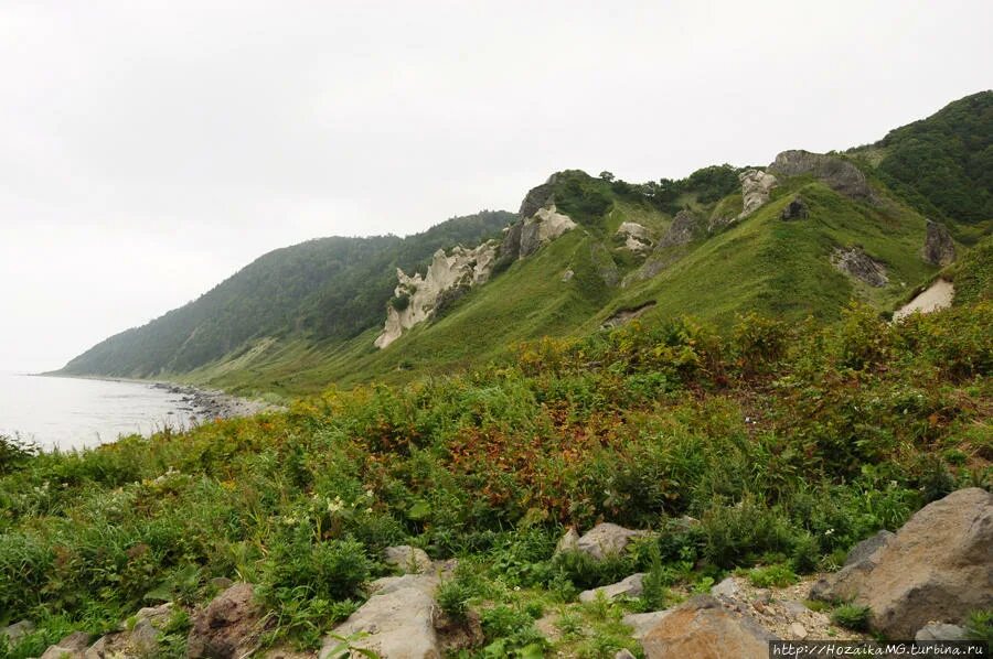 Село курил. Курильский заповедник Сахалин. Природный заповедник Курильский. Заповедники Курильских островов. Малые Курилы государственный природный заказник.