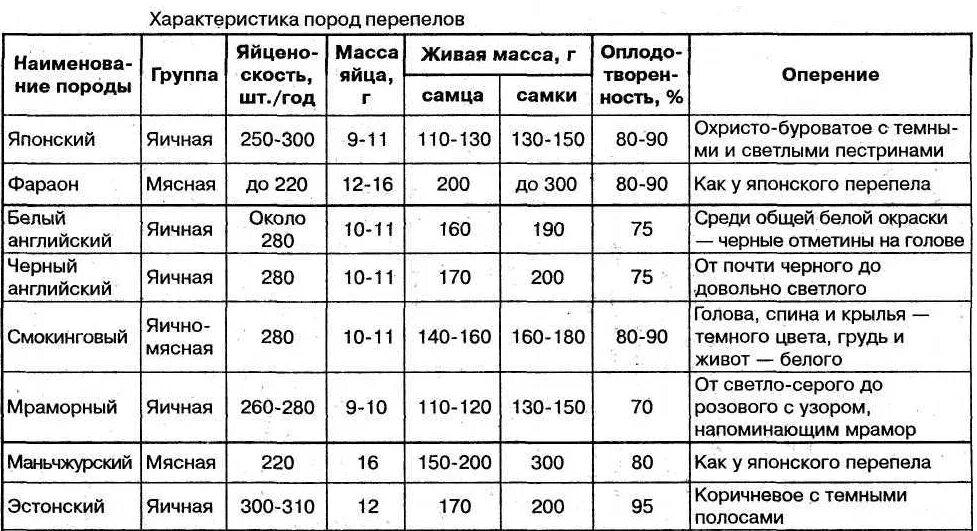 Мясо-яичные породы перепелов. Характеристики пород перепелов таблица. Таблица мясных пород перепелов. Породы перепелов мясо яичных таблица.