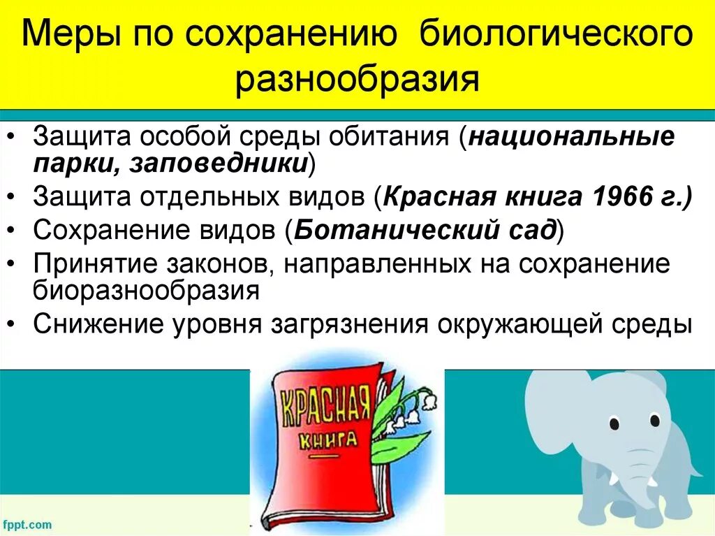 В сохранении многообразия. Способы сохранения видового разнообразия. Меры по сохранению биологического разнообразия. Способы сохранения биоразнообразия. Пути сохранения биоразнообразия.