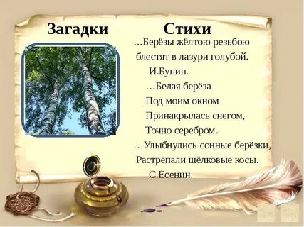 Жанр стихотворения бунина