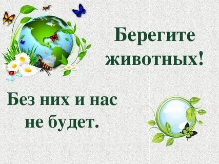 Беречь называться