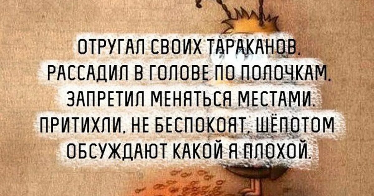 Фразы про тараканов в голове. Высказывания о тараканах в голове. Цитаты про тараканов в голове. Тараканы в голове. Отсутствие тараканов в голове 11 букв